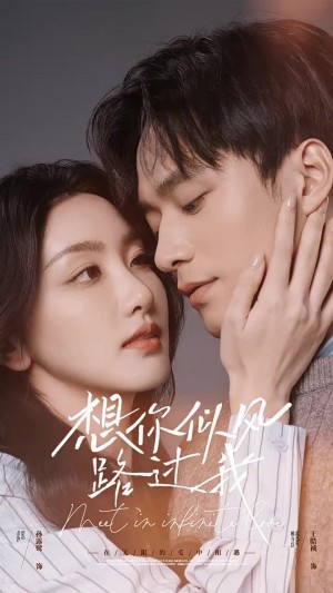 想你似风路过我（40集）