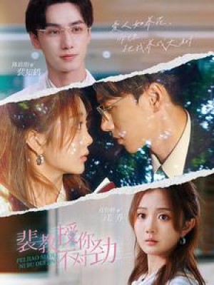 裴教授你不对劲（93集）