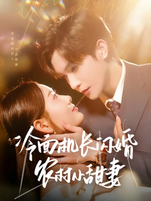 冷面机长闪婚农村小甜妻(73集)