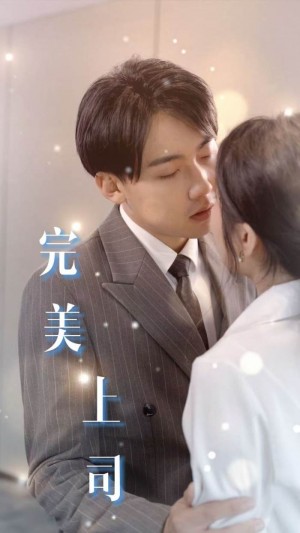 疯狂职场（完美上司）（30集）