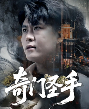 奇门圣手（123集）