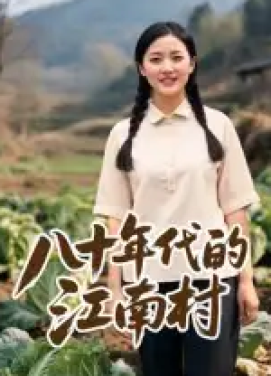 八十年代的江南村（12集）