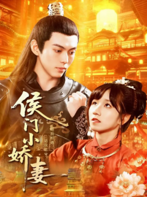 侯门小娇妻（104集）