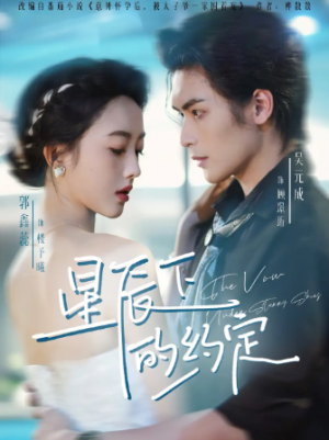 星辰下的约定（80集）