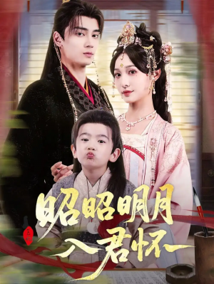 昭昭明月入君怀(80集)
