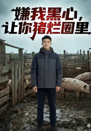 嫌我黑心让你猪烂圈里（20集）