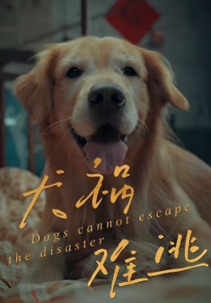 犬祸难逃（33集）