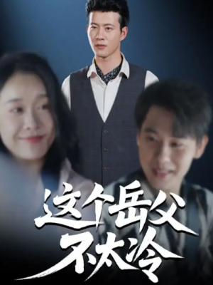 这个岳父不太冷（30集）