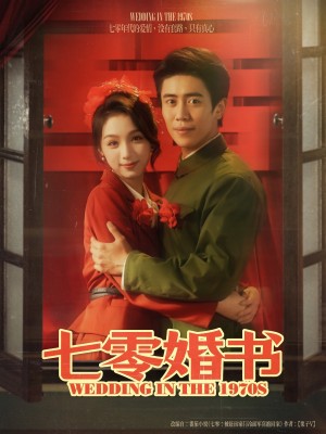 七零婚书(67集)