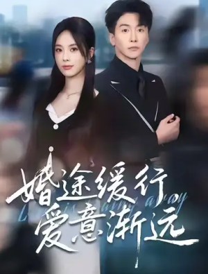 婚途缓行爱意渐远（60集）