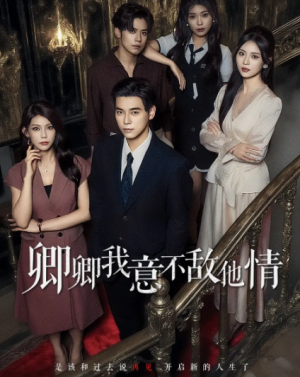 卿卿我意不敌他情（80集）