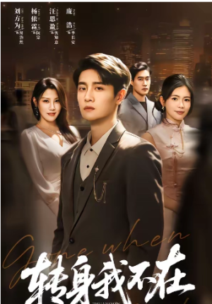 转身我不在（60集）