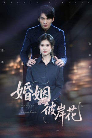 婚姻彼岸花(63集)