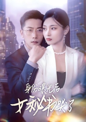 身份曝光后女秘书哭了(31集)