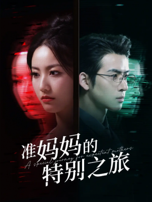 准妈妈的特别之旅（80集）