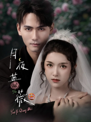 月夜蔷薇（72集）