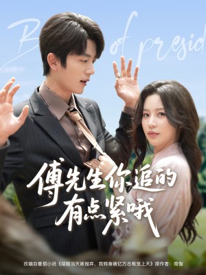 傅先生你追的有点紧哦(95集)