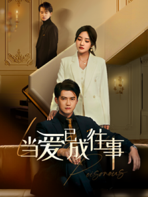 当爱已成往事（28集）