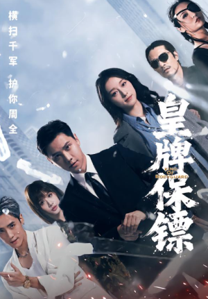 皇牌保镖（66集）