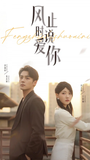 风止时说爱你(70集)