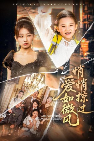 爱如微风悄悄掠过(52集)