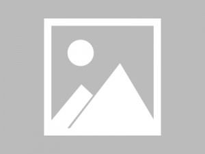 报告小叔我已无法返航（60集）