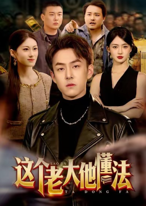 这个老大他懂法（100集）
