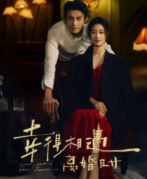 幸得相遇离婚时（81集）