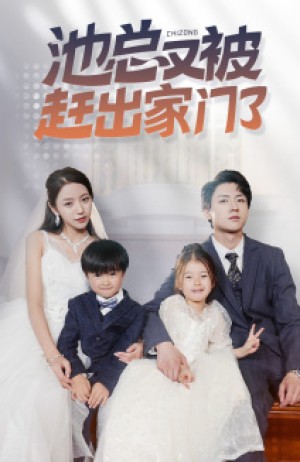 《池总又被赶出家门了》（72集）