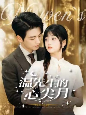 温先生的心尖月（100集）