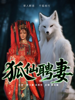 狐仙聘妻(30集)