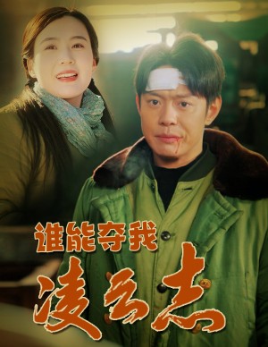 谁能夺我凌云志（50集）