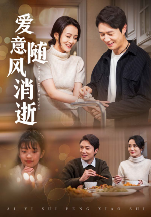 爱意随风消逝（47集）