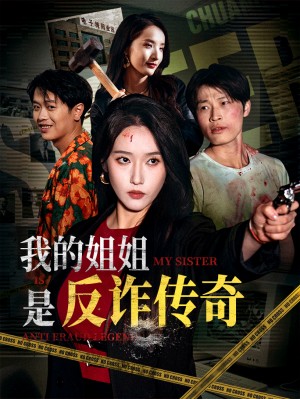 我的姐姐是反诈传奇(60集)