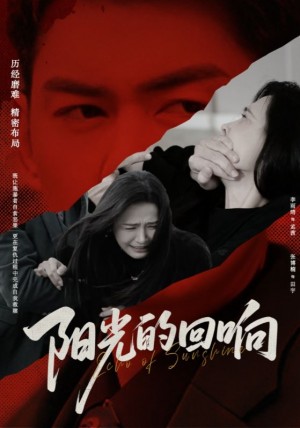 阳光的回响（50集）