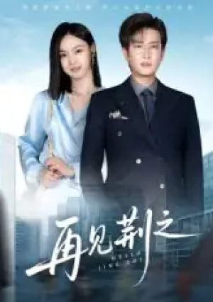 再见荆之（60集）