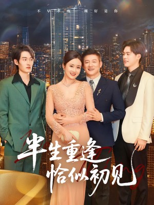 半生重逢恰似初见(90集)