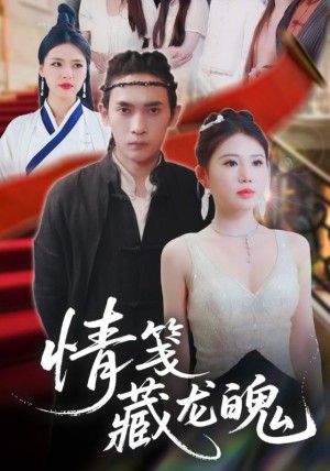 情笺藏龙魄(65集)