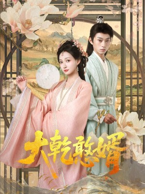 大乾憨婿（101集）