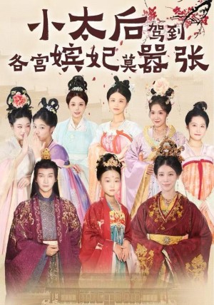 小太后驾到各宫嫔妃莫嚣张（67集）