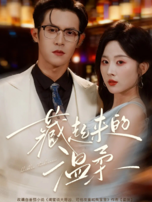 藏起来的温柔（75集）