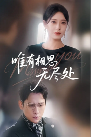 唯有相思无尽处(66集)
