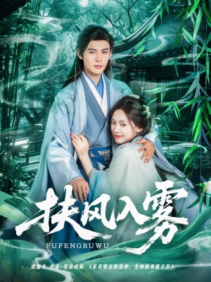 扶风入雾(81集)