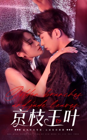 京枝玉叶（65集）