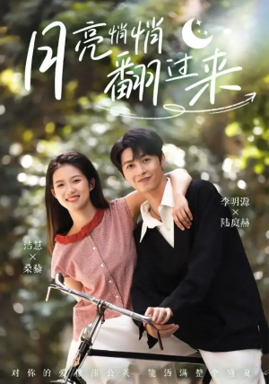 月亮悄悄翻过来(99集)