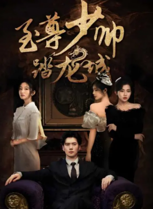 至尊少帅踏龙城（80集）