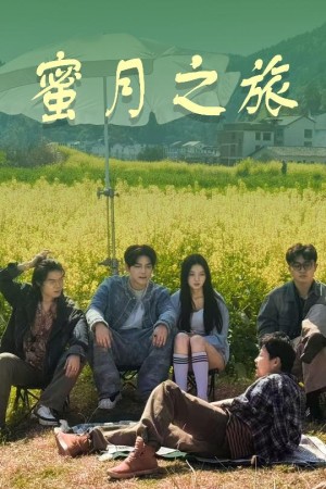 蜜月之旅(35集)