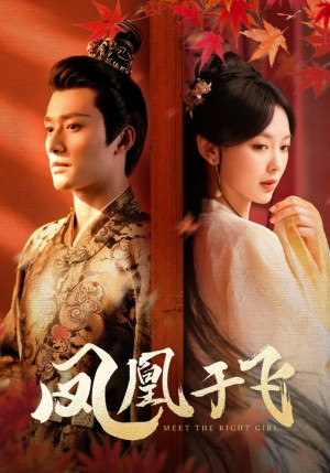 《凤凰于飞》（79集）