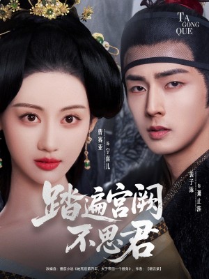 踏遍宫阙不思君(75集)