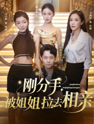 刚分手，被姐姐拉去相亲&刚分手被姐姐拉去相亲（73集）